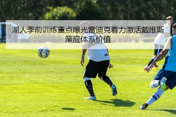 湖人季前训练重点曝光雷迪克着力激活戴维斯策应体系价值（kaiyun）